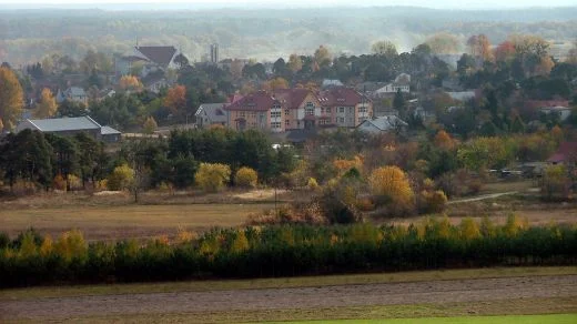 Zdjęcie z galerii