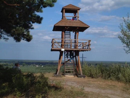 Zdjęcie z galerii